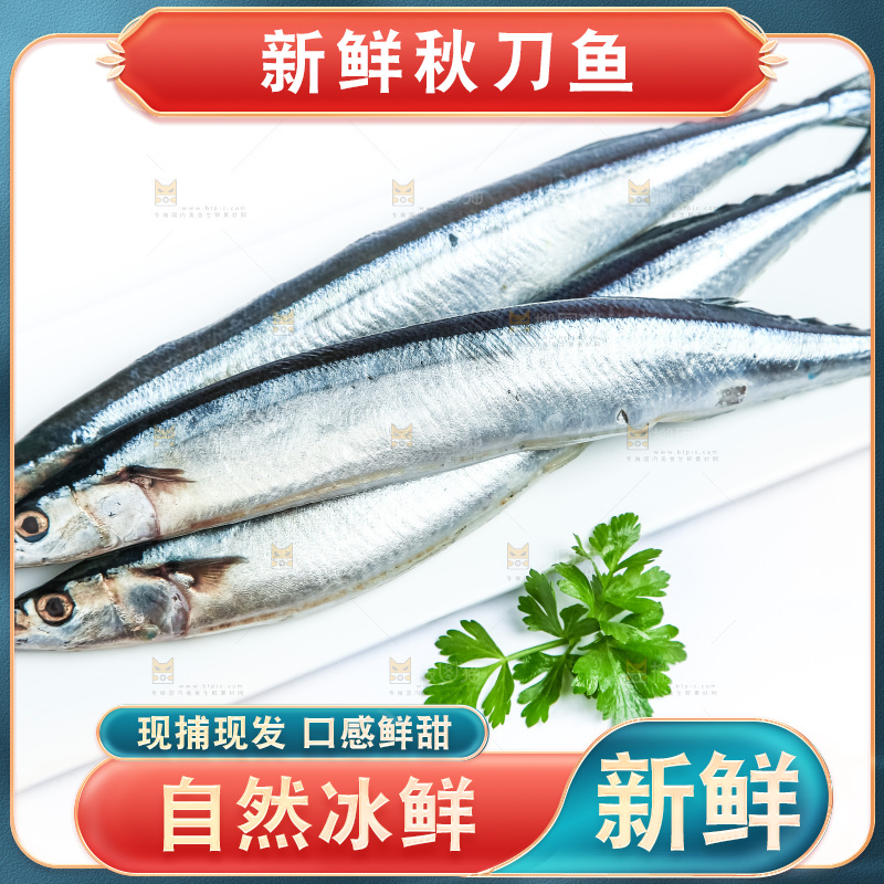 白底上放着一盘秋刀鱼