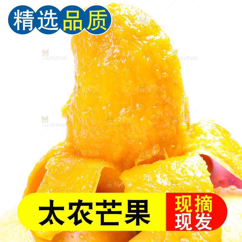 新鲜台芒放在白底上