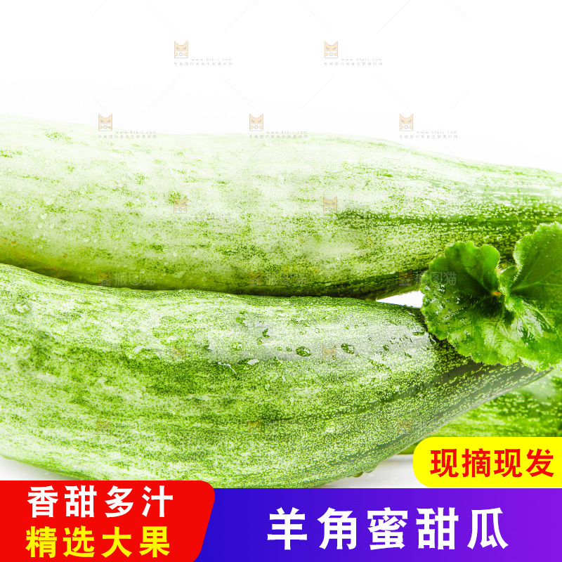 白底上的山东羊角蜜甜瓜