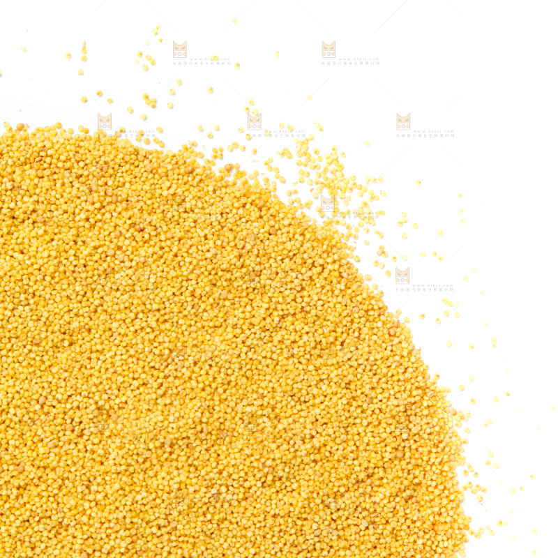 山西黄小米放在白底上