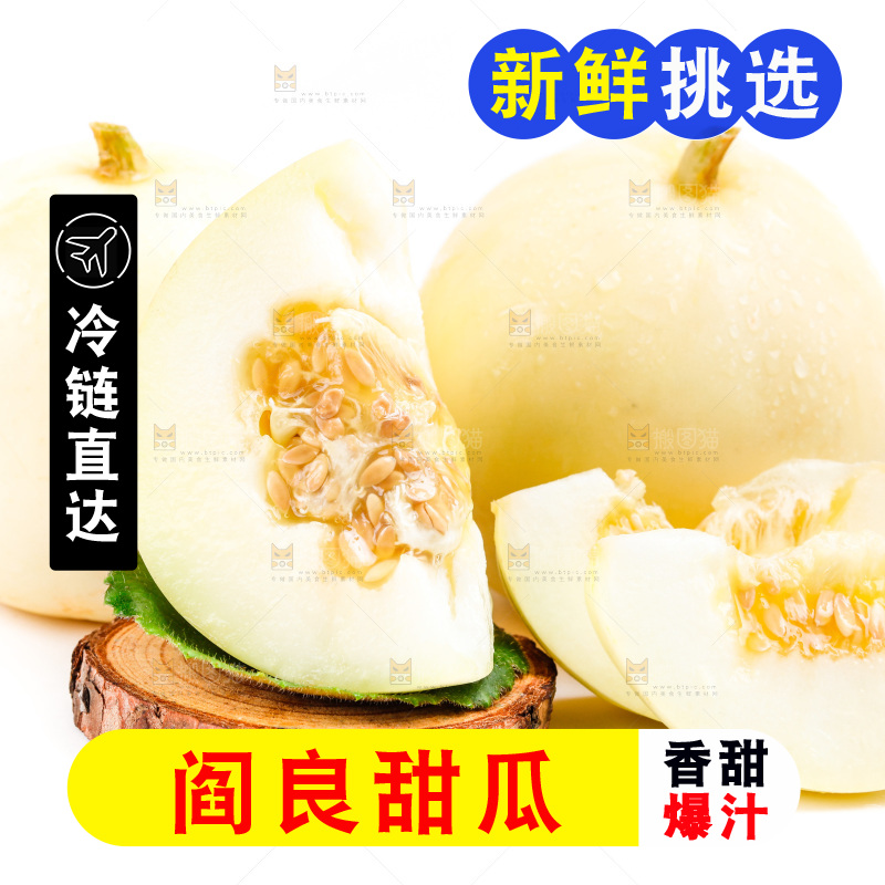 新鲜阎良甜瓜放在白底上