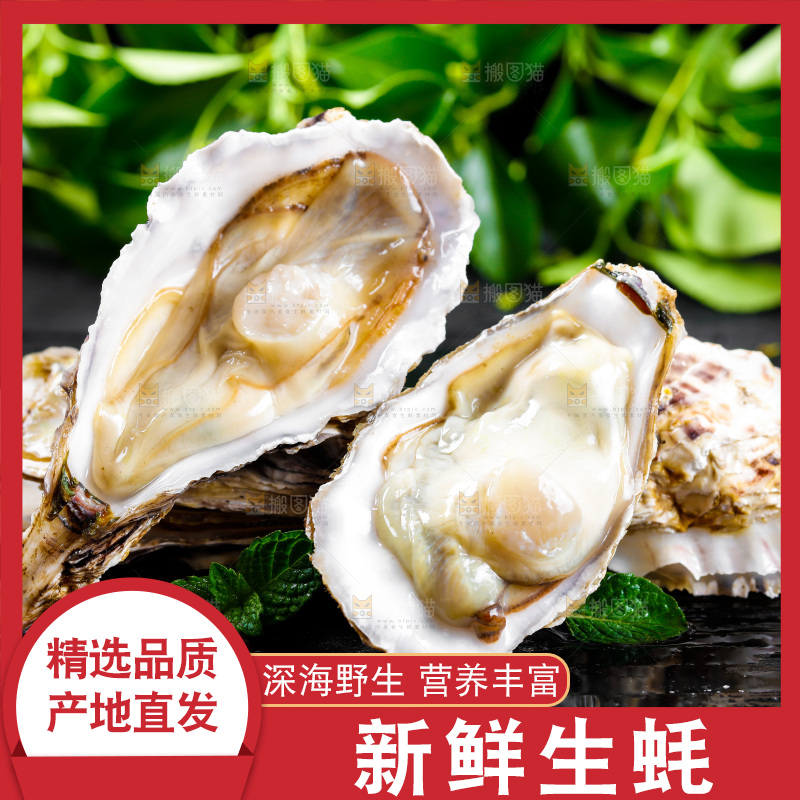 深底上放着牡蛎