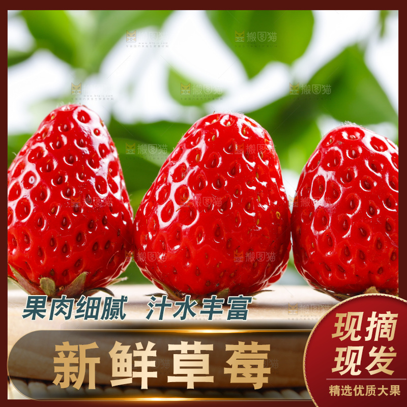 99草莓放在浅底上