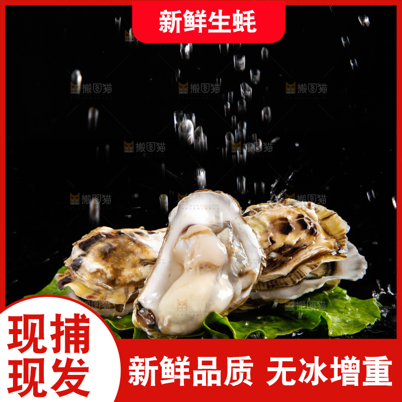 深底上放着牡蛎