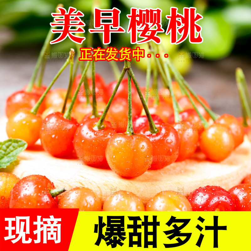 木底上放着烟台水晶黄樱桃