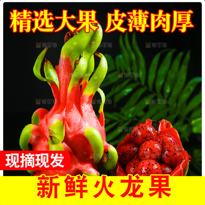 黑底上放着海南红心火龙果