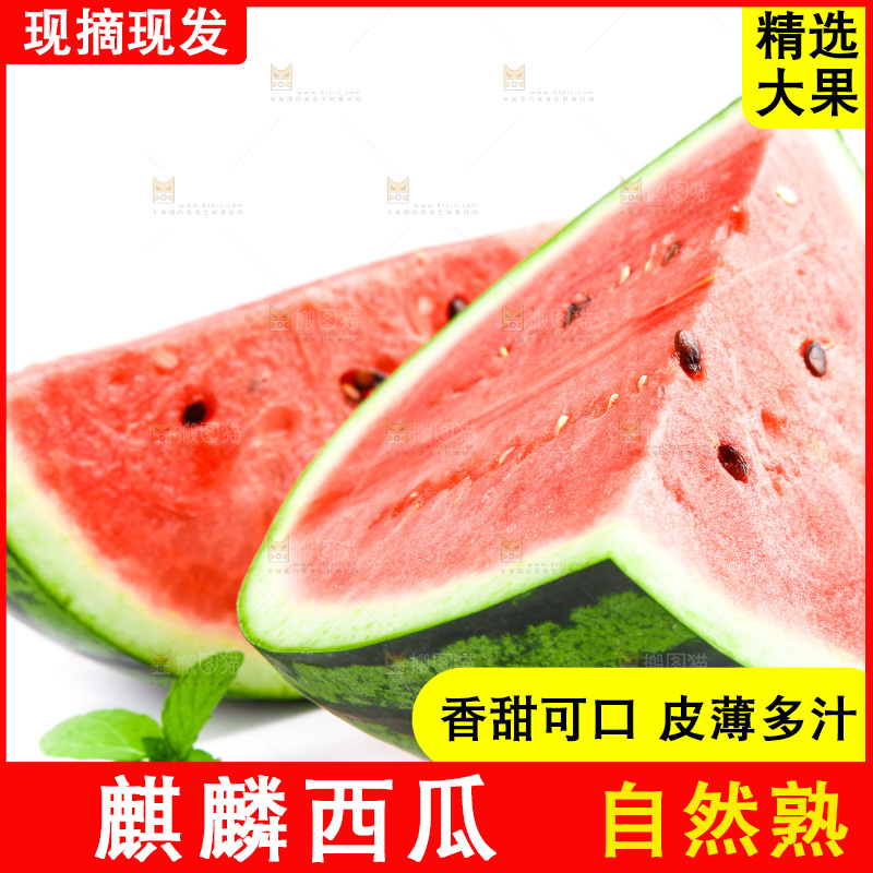 切开的麒麟西瓜放在白底上