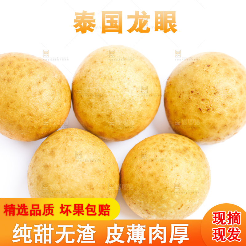 白底上的龙眼