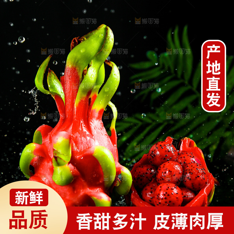 黑底上放着海南红心火龙果