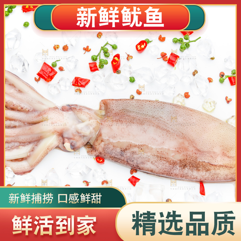 白底上放着鱿鱼