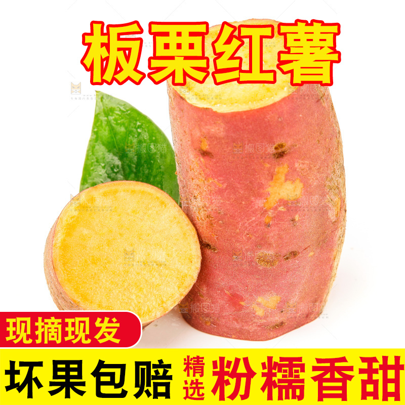 白底上放着新鲜红薯