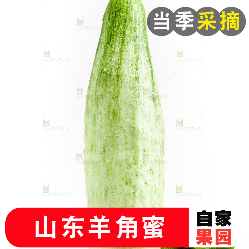 白底上的山东羊角蜜甜瓜