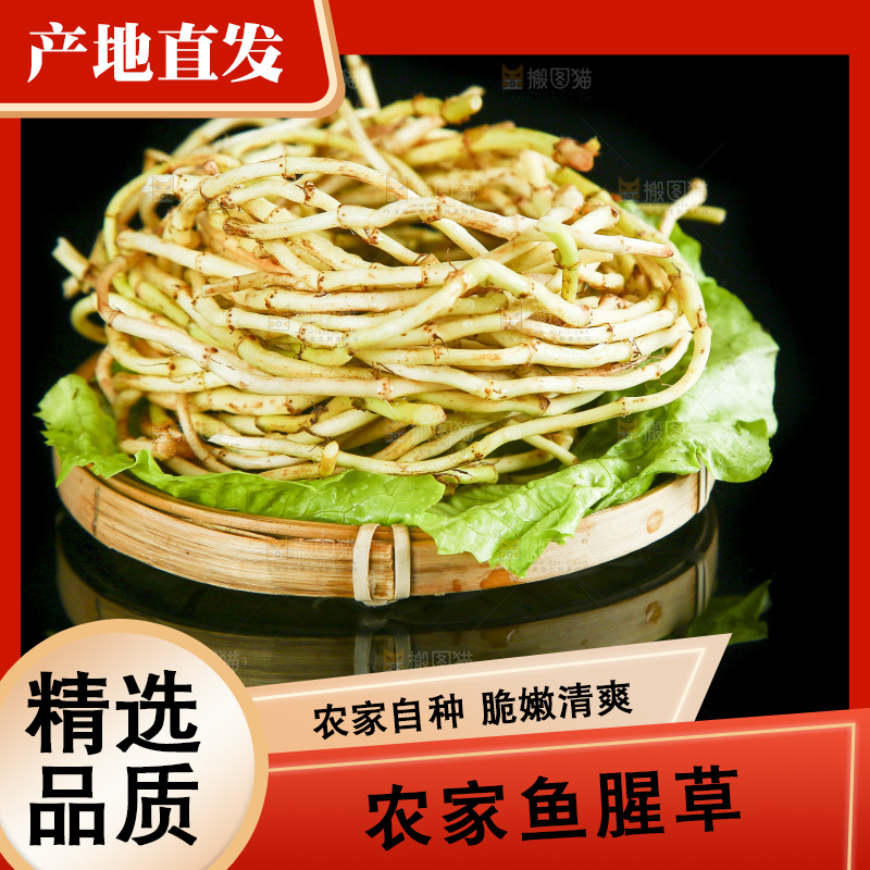 黑底上放着一盘鱼腥草