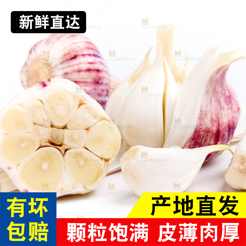 白底上的大蒜