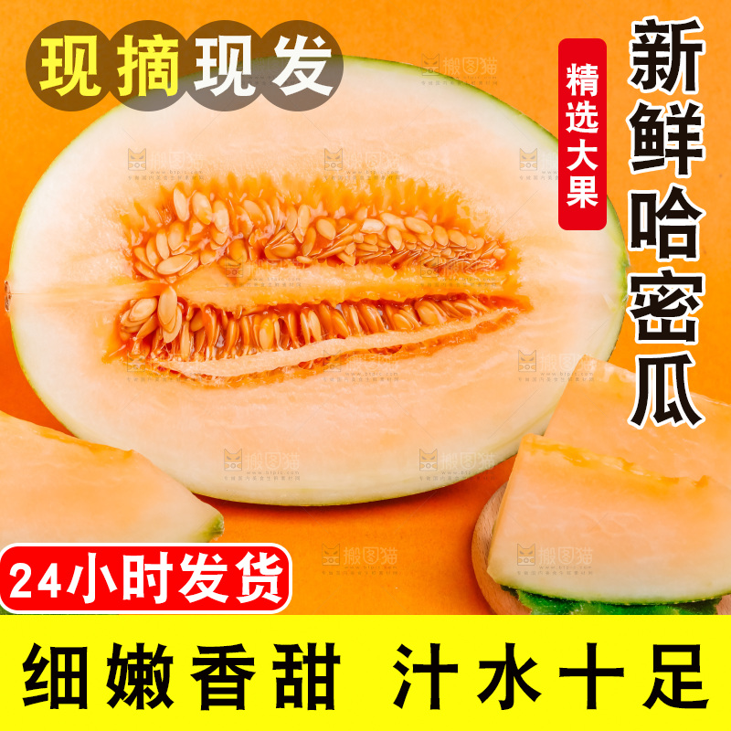 浅底上放着新疆哈密瓜