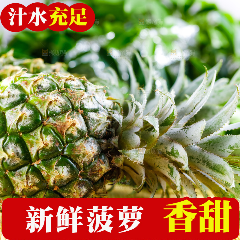 云南香水小菠萝放在白底上