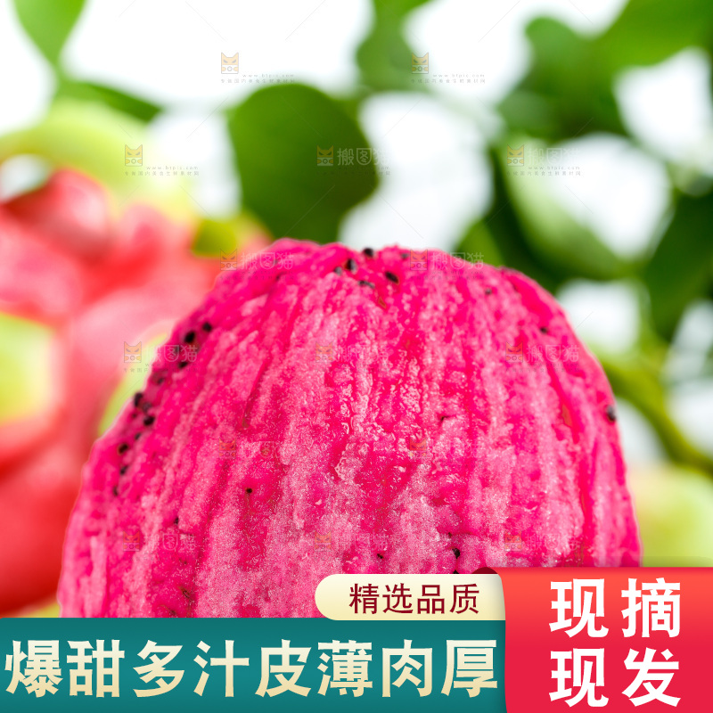 剥皮的红心火龙果放在浅底上