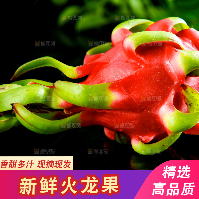 深底上的火龙果