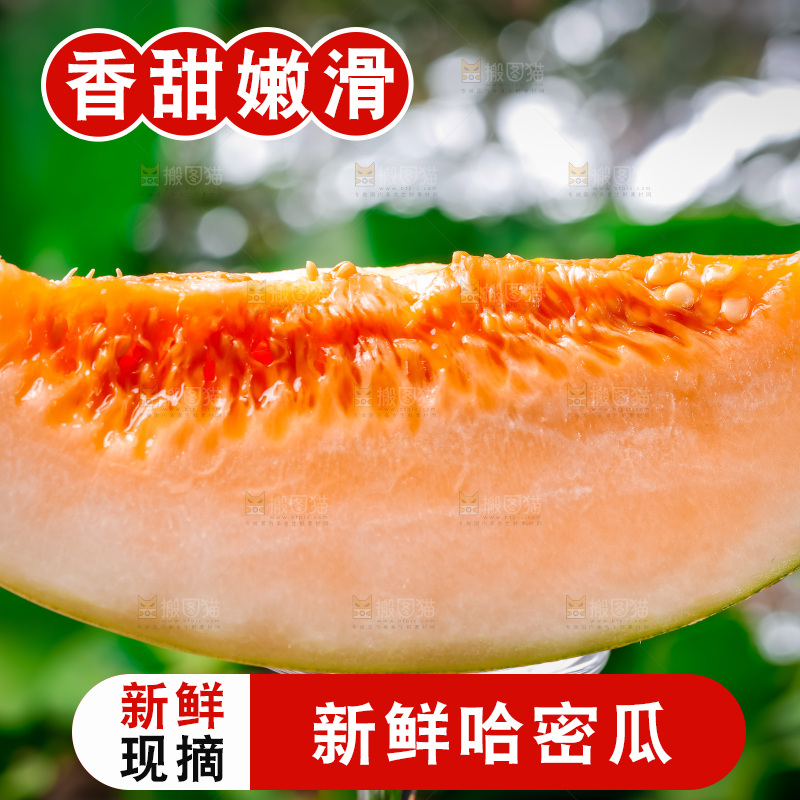 新鲜哈密瓜放在浅底上