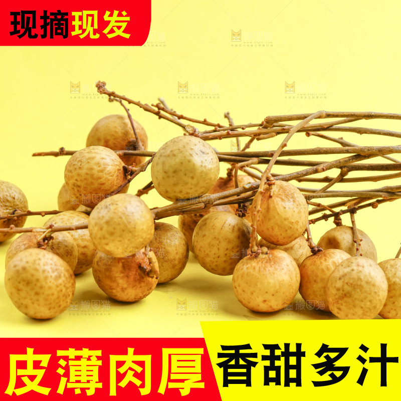 浅底上放着新鲜龙眼