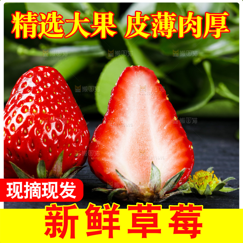 丹东草莓放在深底上
