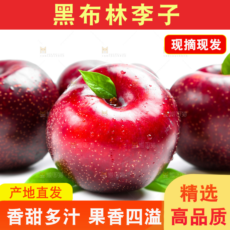 陕西黑布林放在白底上