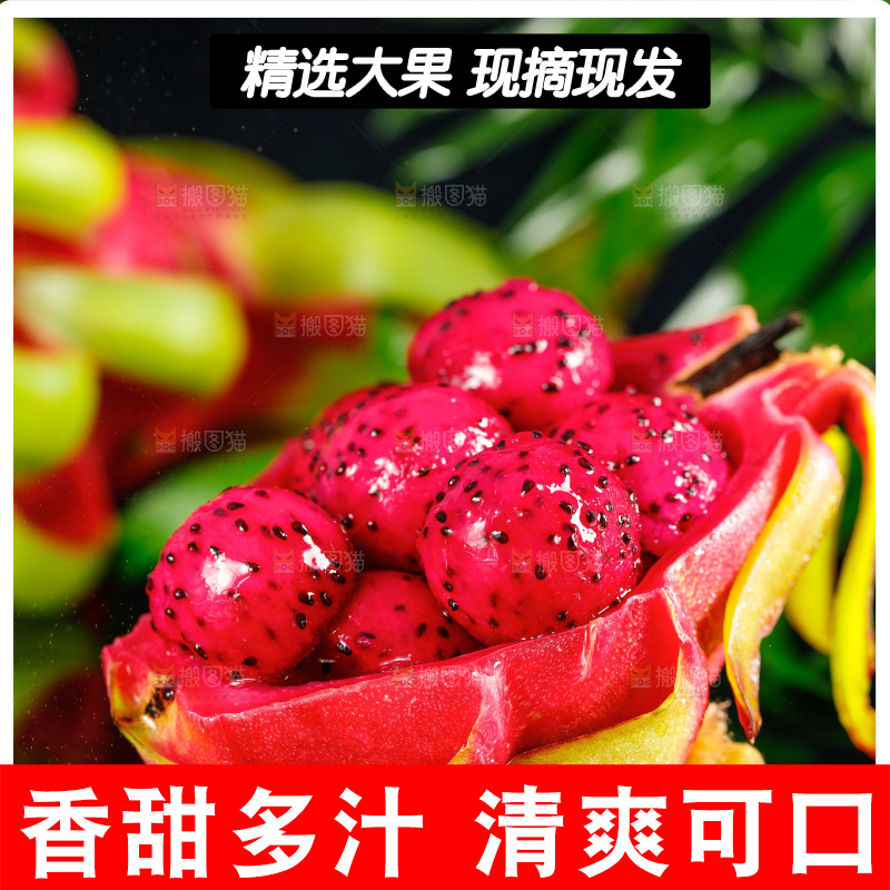 深底上放着海南红心火龙果