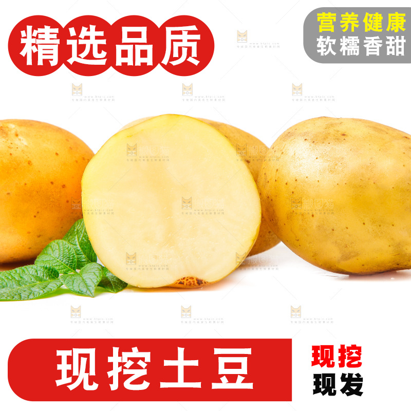 黄心土豆放在白底上