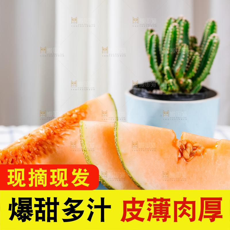 格子布上放着新鲜哈密瓜
