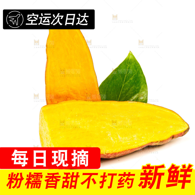 浅底上的蜜薯