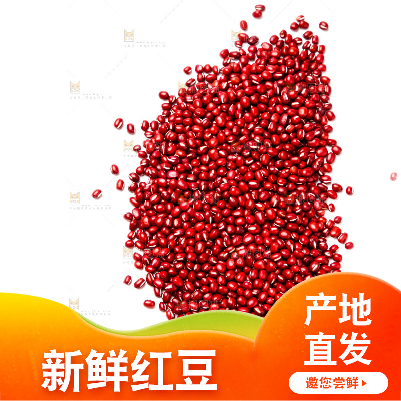 白底上的红豆