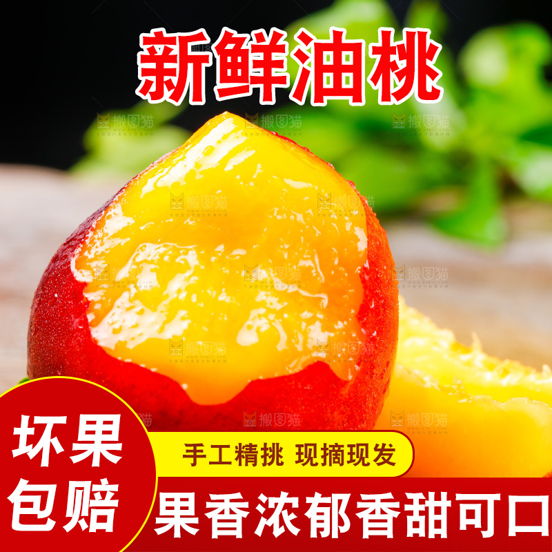 深底上的山西黄心油桃
