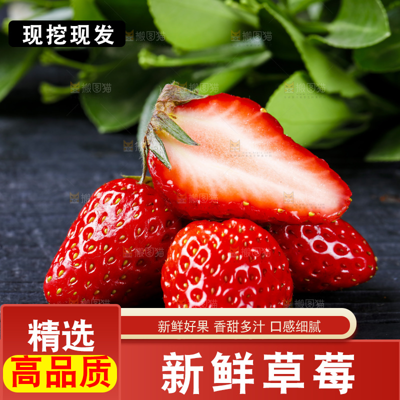 丹东草莓放在深底上