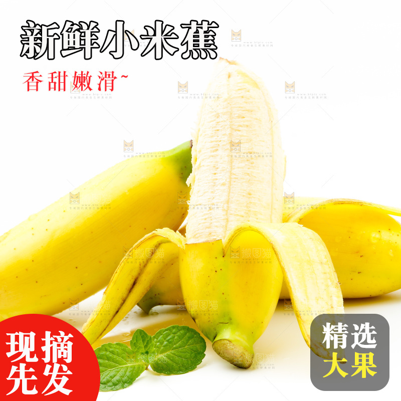 皇帝蕉放白底上