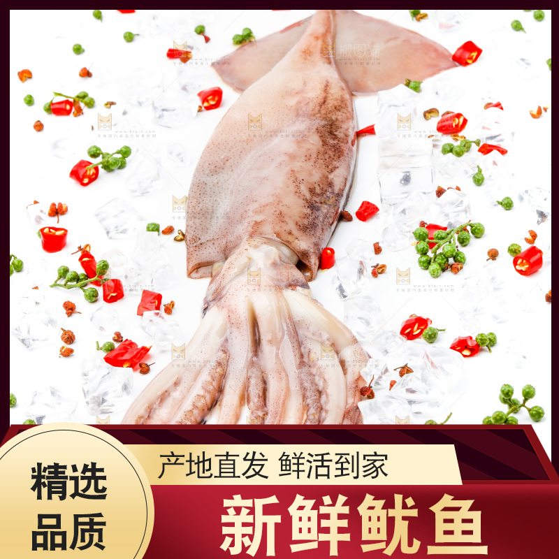 白底上放着鱿鱼