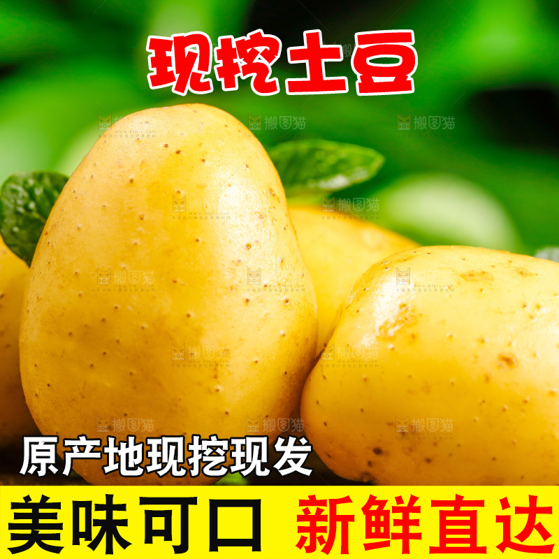 新鲜土豆放在木底上