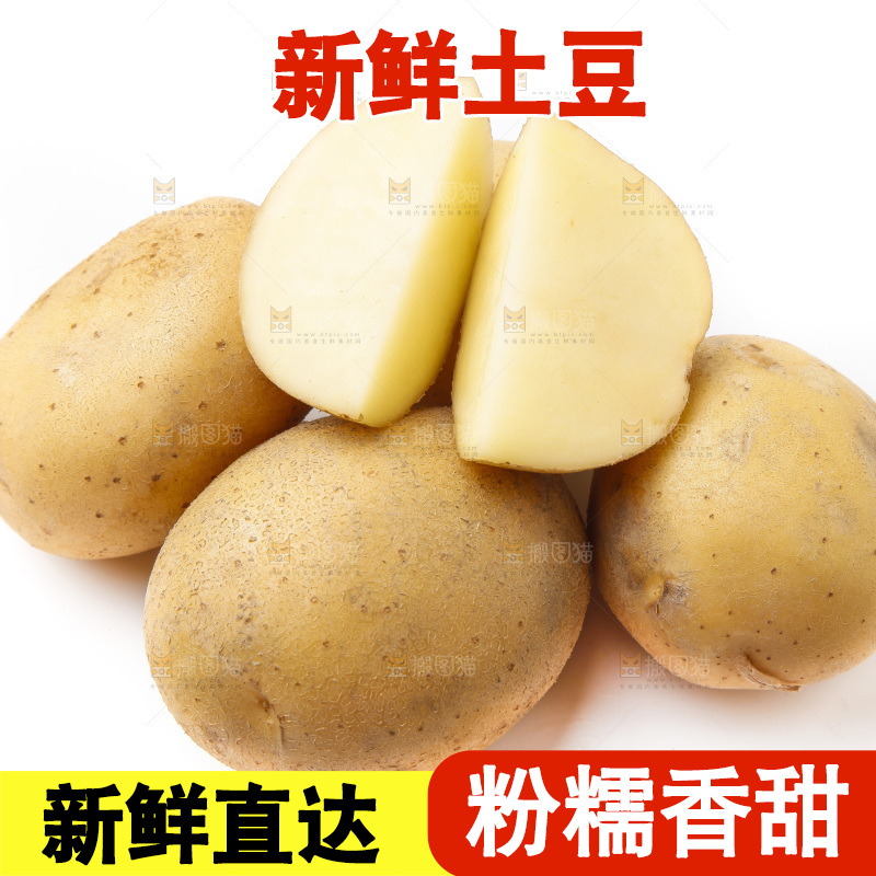 新鲜土豆放在白底上