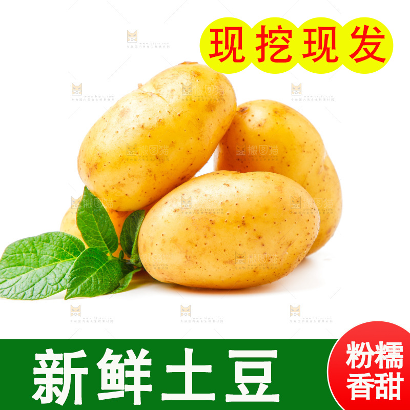 黄心土豆放在白底上