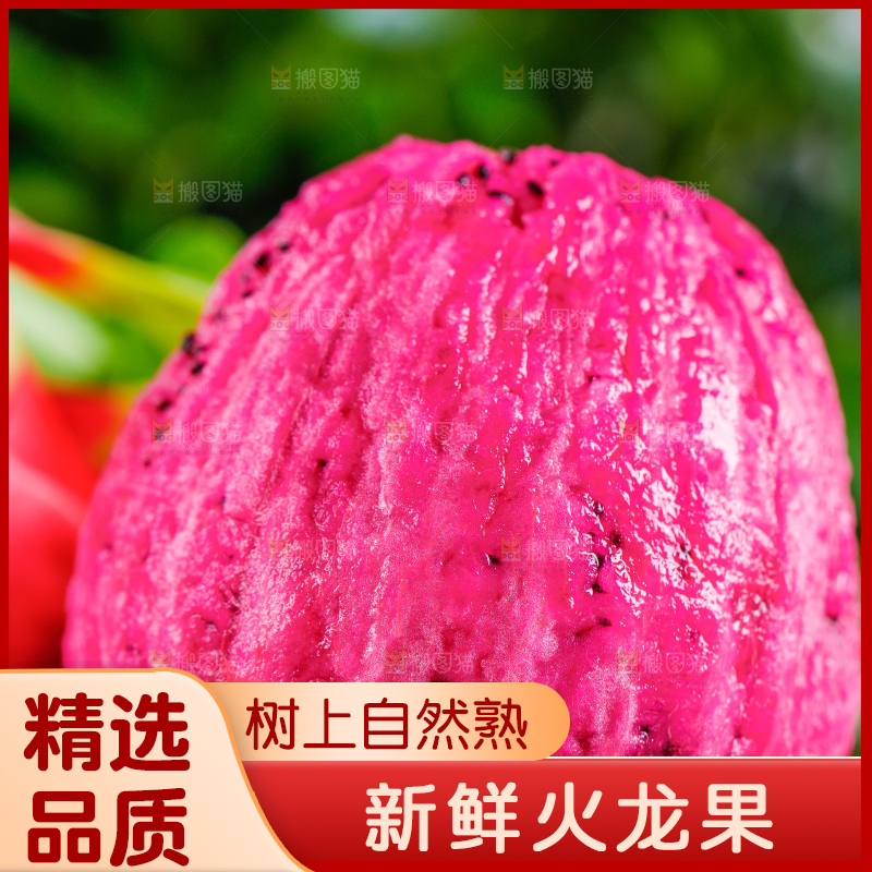 木底上放着海南红心火龙果