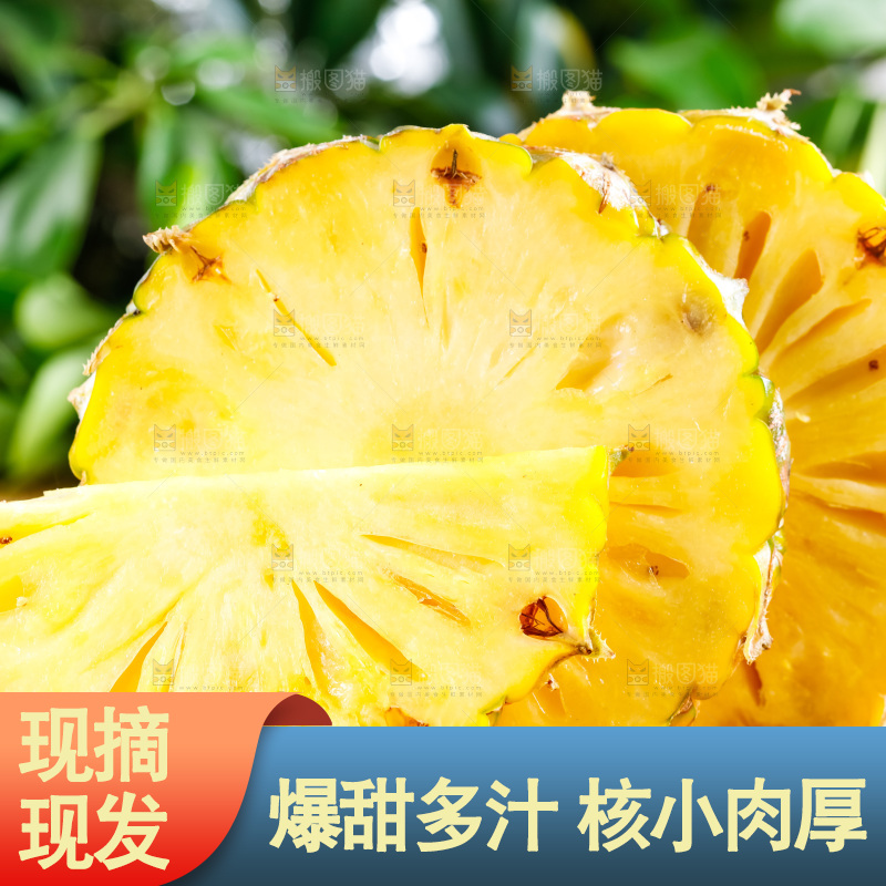 云南香水小菠萝放在白底上