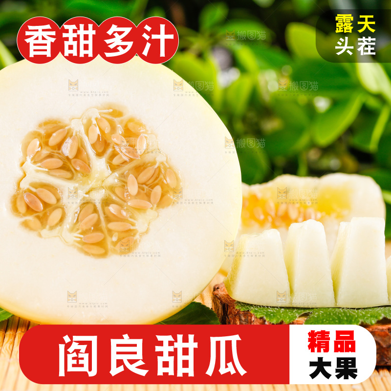 浅底上的新鲜甜瓜