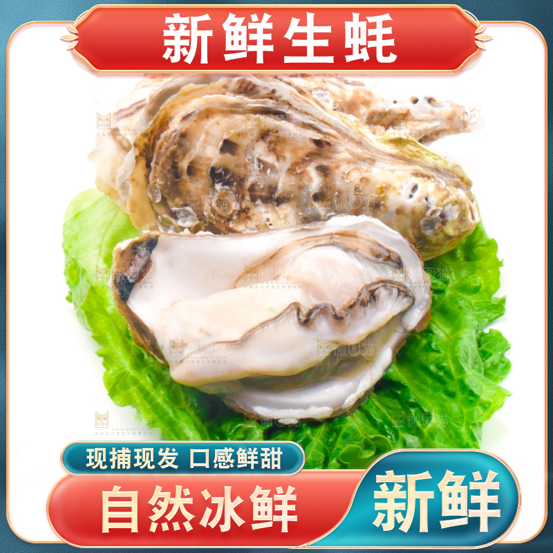 白底上放着乳山生蚝