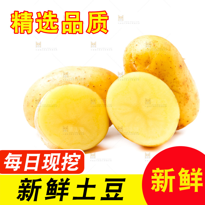 黄心土豆放在白底上