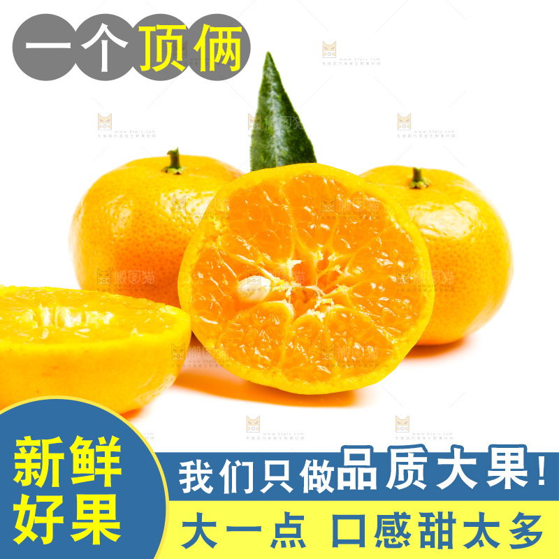 新鲜橘子放在白底上