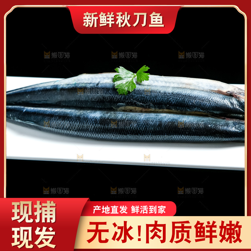 黑底上放着一盘秋刀鱼