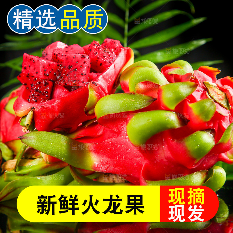 黑底上放着红心火龙果