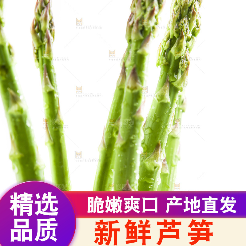 白底上的新鲜芦笋