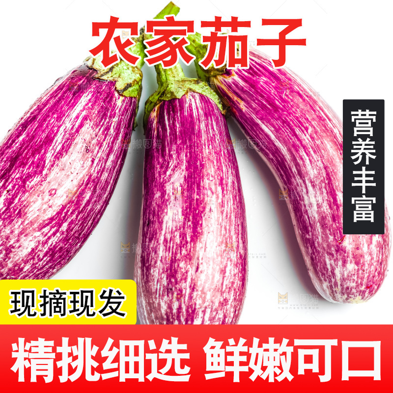 新鲜茄子放在白底上
