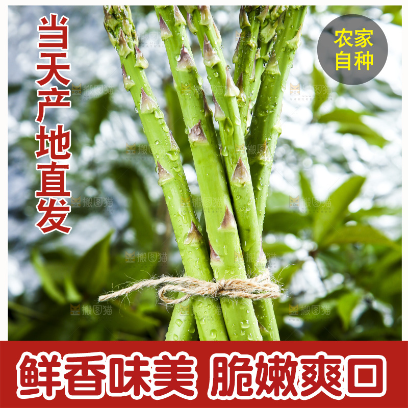 黑底上的青芦笋