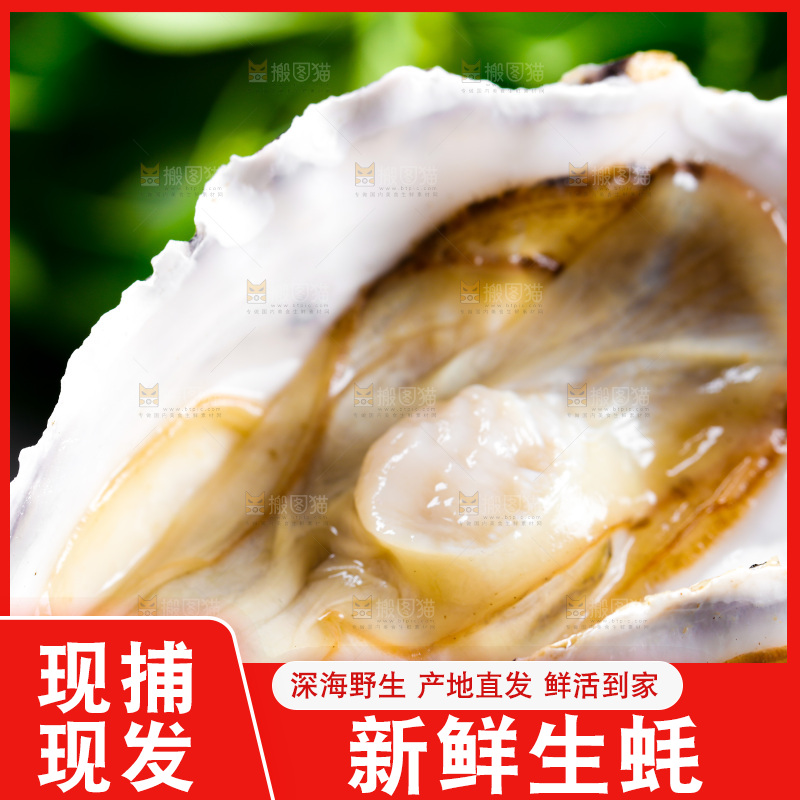 深底上放着牡蛎